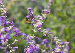 scotty-turner-dVLq8y3NgY4-unsplash
