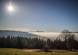 simy27-inversion-3246714_640