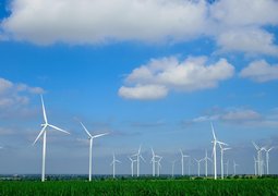 suwit_luangpipatsorn-fields-of-wind-turbines-2707526_640