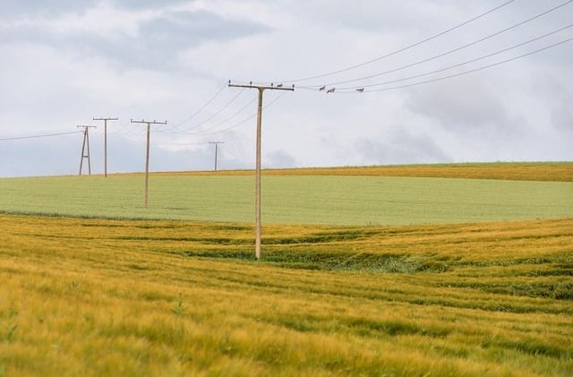wal_172619-field-9658151_640