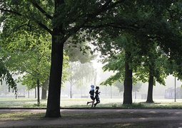 wal_172619-jogging-4211946_640