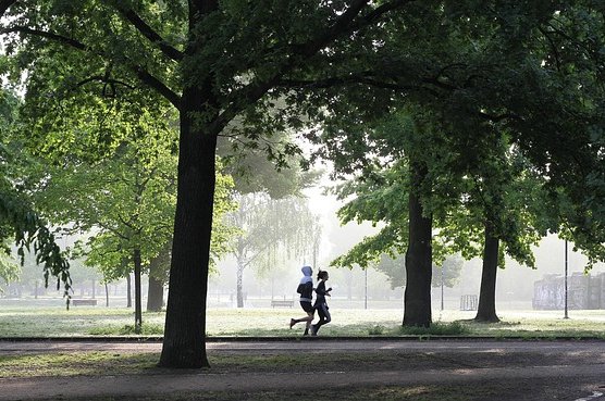 wal_172619-jogging-4211946_640