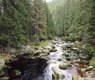 water-nature-forest-creek-wilderness-river-716253-pxhere.com