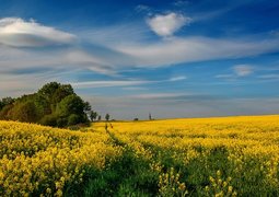 wilamowice-5249675_640