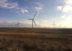 wind-farm-743517_640