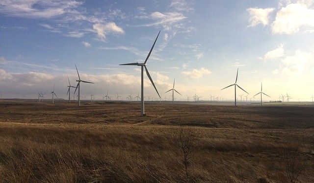 wind-farm-743517_640