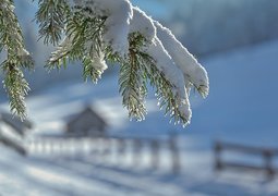 winter-7661769_640
