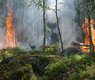 ylvers-forest-fire-432870_640