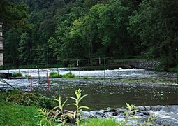 zdenet-river-202843_640