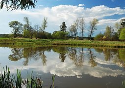 zdenet-spring-748597_640