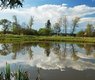 zdenet-spring-748597_640