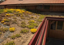 28825051972_ced1cc8310_c