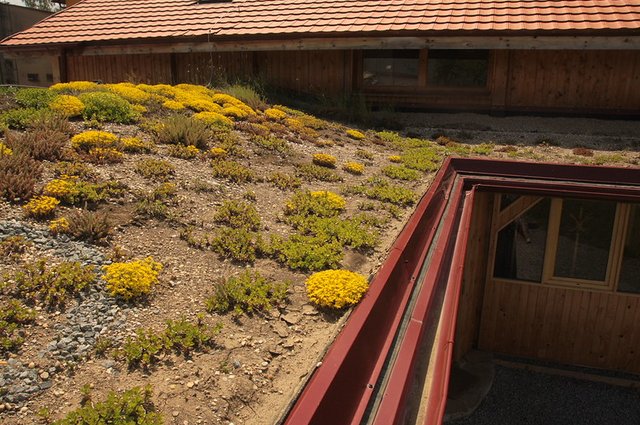 28825051972_ced1cc8310_c