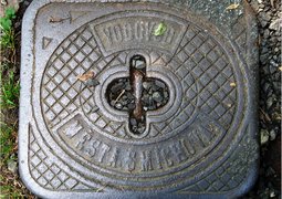 50022611651_42128f8058_c