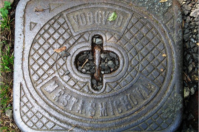 50022611651_42128f8058_c