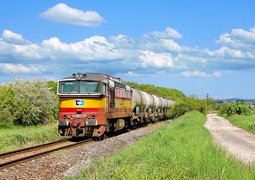 52964116940_37653d15af_c