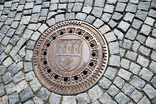 5978795318_98a0503c21_c