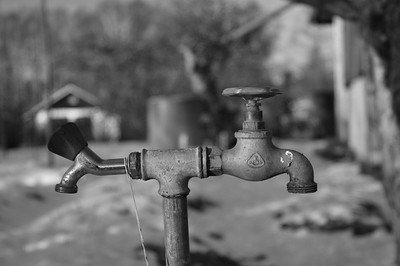 6865845479_754edd7209_w