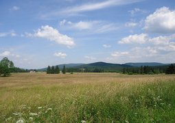 9332156117_a19279f293_c