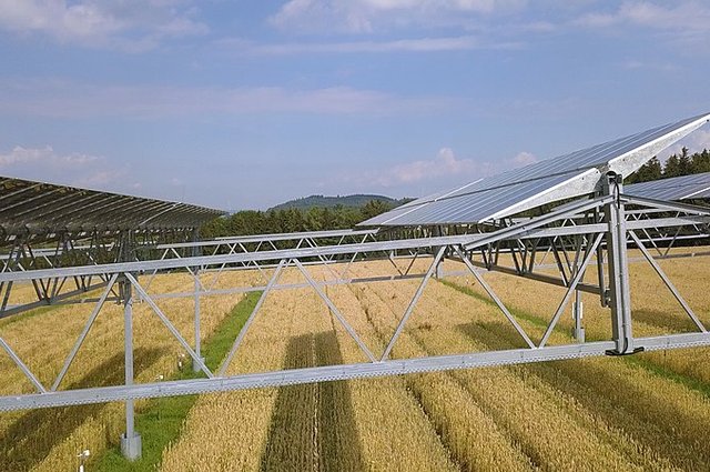 Agrivoltaics_pilot_plant_at_Heggelbach_Farm_in_Germany_5