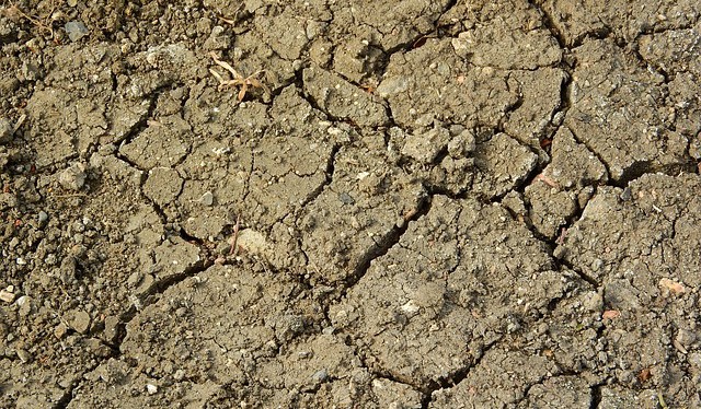 Boj se suchem: naše půda potřebuje vrátit kondici