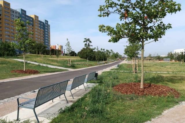 Centrální park na Chodově po revitalizaci: Přibyly stromy, cesty i nový mobiliář