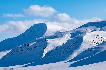 Českých zástupců na Špicberkách přibylo. Vědci tam dovezli várku 95 vzorků semen