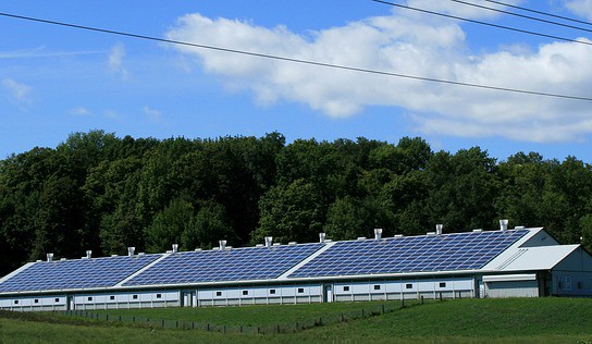 Co přinese solárnímu sektoru nová směrnice o OZE?