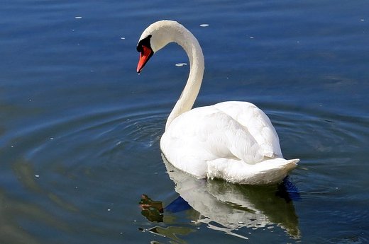 Dobrovolníci začali spolu s podniky Povodí čistit řeky. Prohlédněte si mapu akcí