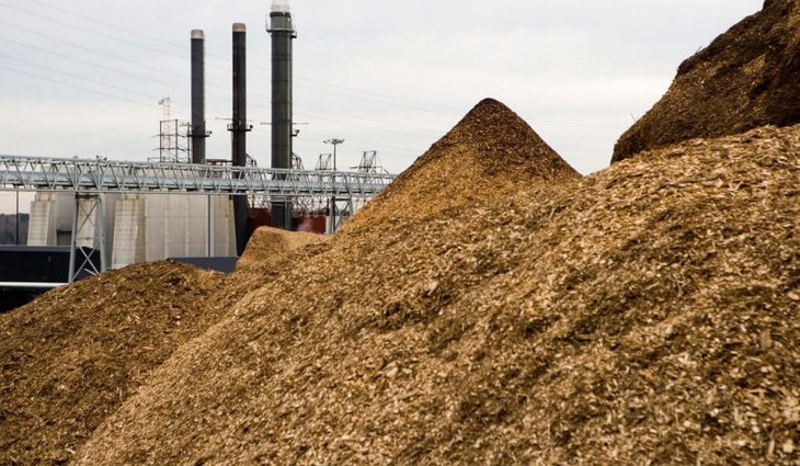 Elektřině z biomasy a odpadu se v USA nedaří, výroba elektřiny stagnuje