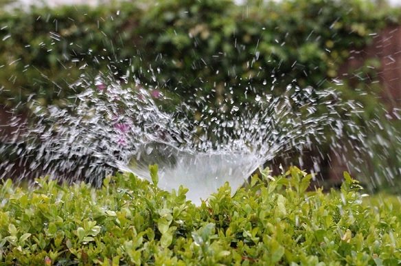 Europoslanci schválili návrh na využití recyklované vody v zemědělství