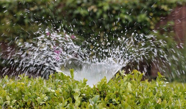Europoslanci schválili návrh na využití recyklované vody v zemědělství