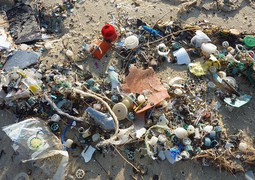 Evropští poslanci prosazují zákaz jednorázových plastů v EU od roku 2021