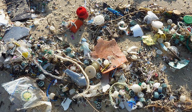 Evropští poslanci prosazují zákaz jednorázových plastů v EU od roku 2021