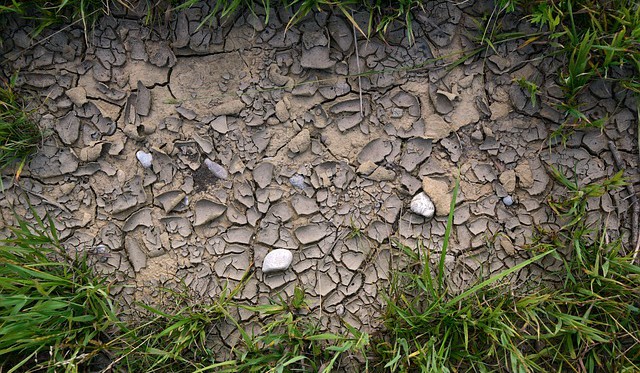 II. část polemiky na téma: Jaká opatření proti suchu by se měla přijmout?