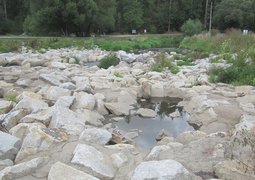 IMG_9741