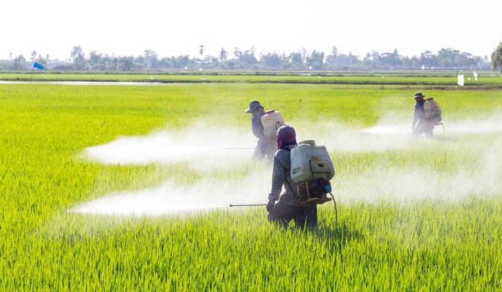 Identifikace endokrinních disruptorů: Parlament zamítl vyjmutí některých účinných látek pesticidů