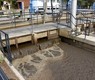 Inlet_of_mixed_wastewater,_Prague_Central_Wastewater_Treatment_4613