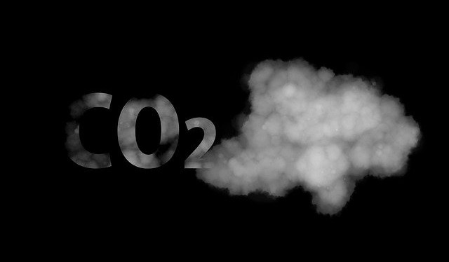 Jak může občan snižovat exhalace CO2