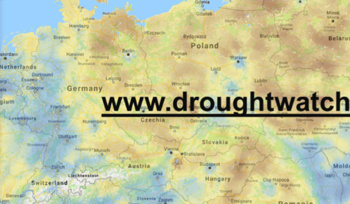 Jak předejít nejhoršímu. Evropské státy řeší extrémní sucho