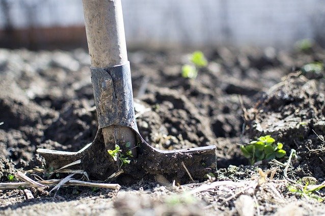 Kdo správně třídí biologicky rozložitelný odpad a kompostuje, bojuje proti suchu