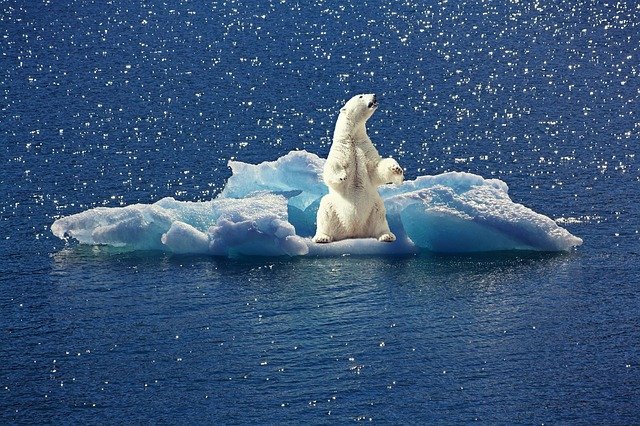 Klimatická konference COP24 v Katovicích: pravidla jsou připravena, nejasnosti ohledně dalšího sni