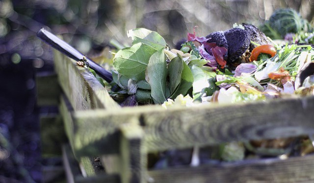 Letos SAKO Brno rozdalo již 3 000 kompostérů