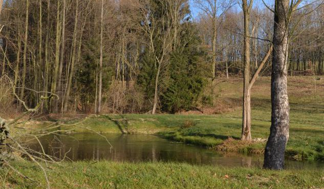 Liberecký kraj podpoří zadržování vody v krajině 