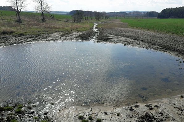 Lichovský potok meandruje v přírodním korytě a zadržuje vodu v krajině