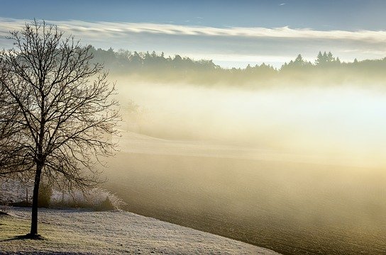 MŽP naprosto odmítá, že by dotace do ochrany přírody a krajiny nepřinesly výrazné zlepšení