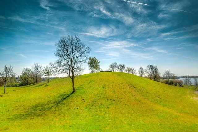 Na granty pro oblast životního prostředí dává Praha letos o 25 milionů více než loni