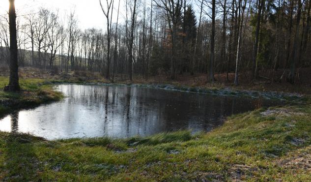 Na opatření k zadržení vody na Frýdlantsku připravuje Liberecký kraj projekty na svých pozemcích