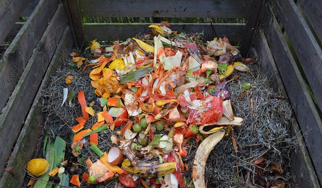 Na pořízení kompostérů schválilo ministerstvo téměř 300 milionů