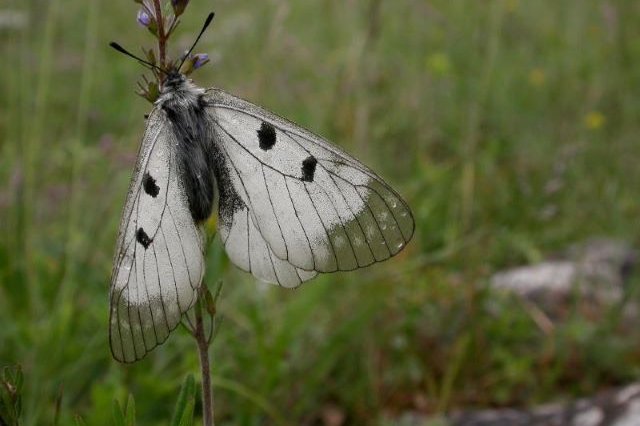 Náklady na likvidaci kyseliny sírové u Klíčan zřejmě zaplatí Středočeský kraj